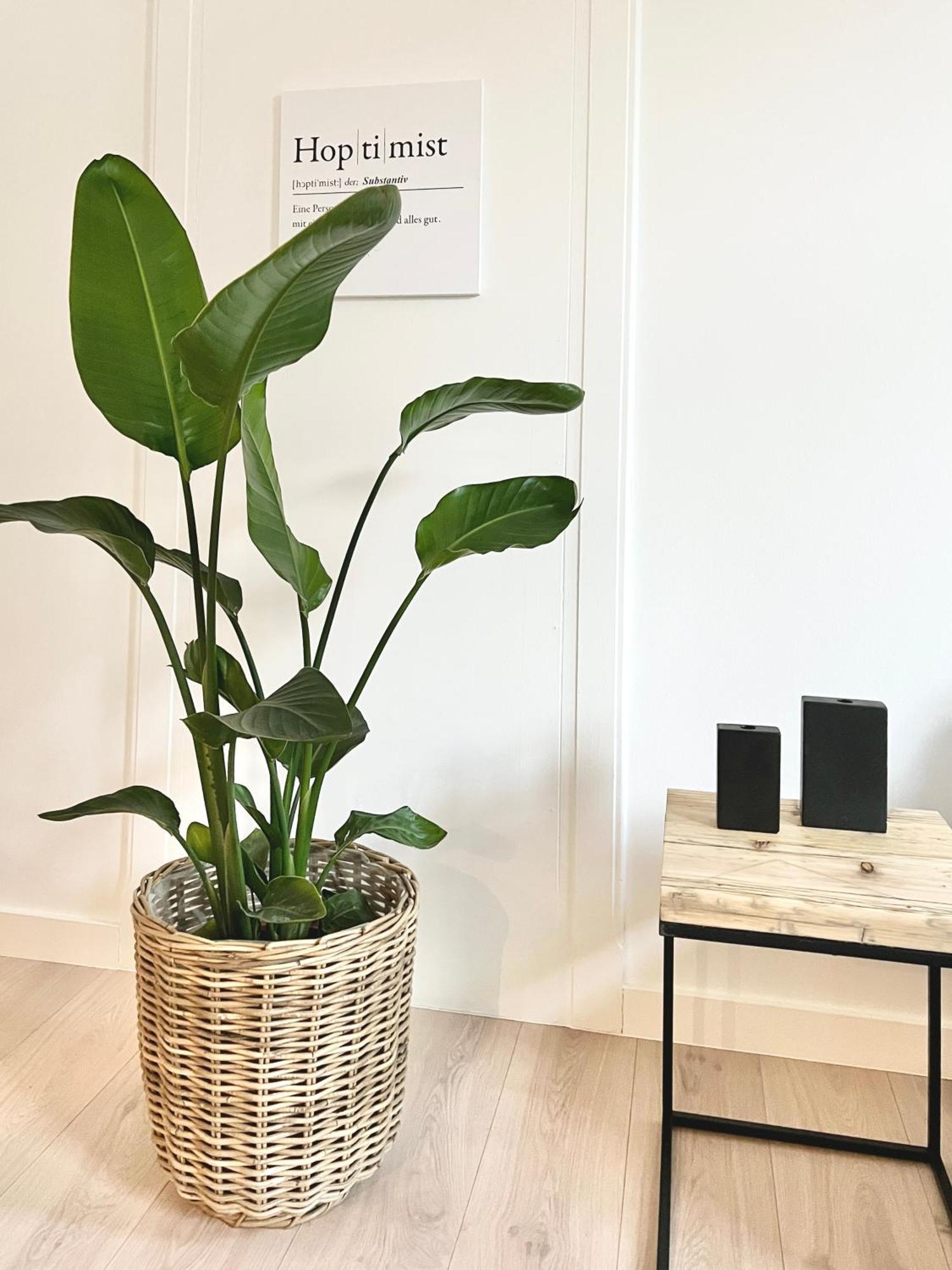 Makers And Rooms Apartment 01 Pauline 110Qm Parkplatz 1-4 Personen Ντέτμολντ Εξωτερικό φωτογραφία